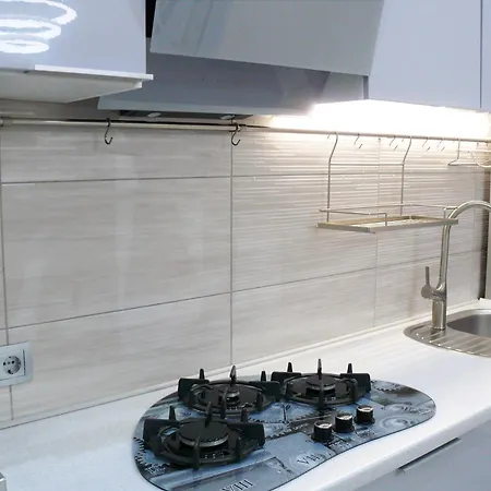 Luxury Centre Located Apartment Kyiv